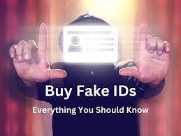 Navigating the World of Fake IDs: Best Online Choices post thumbnail image