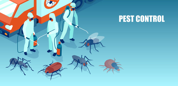 Pest Exterminators in Las Vegas: Your Trusted Partners post thumbnail image