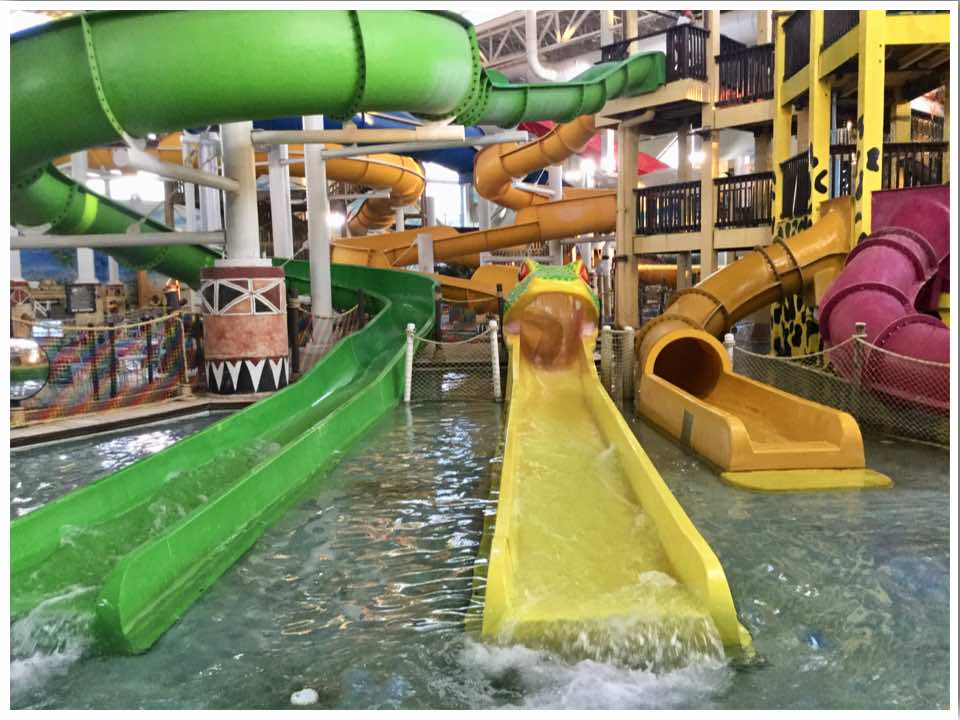 Consider the Dive at Cascade Mountain water theme park – Portage, WI post thumbnail image