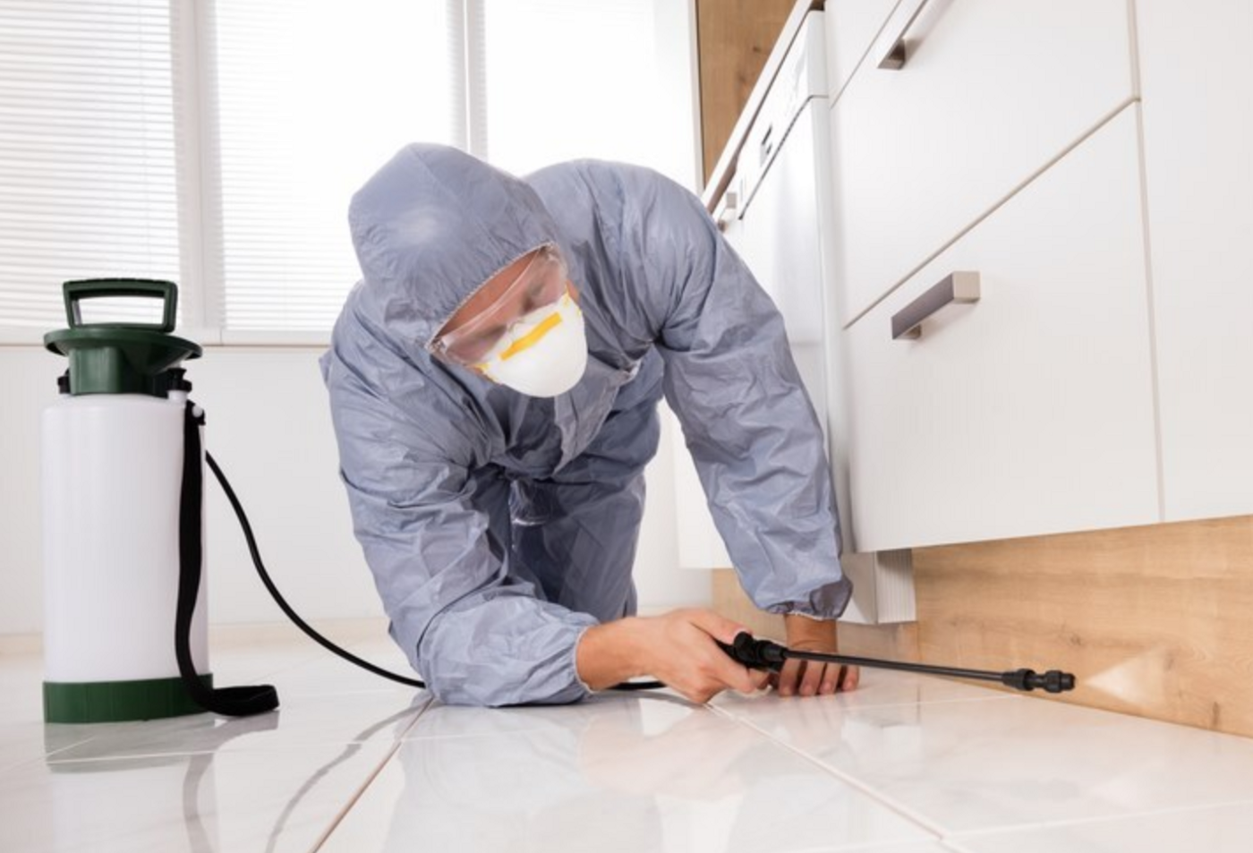 Prevent Infestations with Ongoing Residential and Commercial Pest Control Services – Las Vegas post thumbnail image