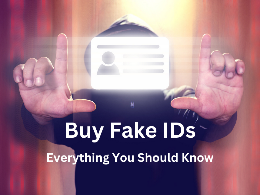 Fake ID Websites 101: A Beginner’s Guide post thumbnail image