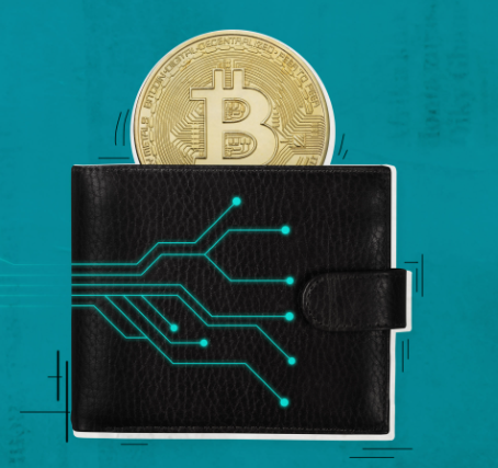 Choosing the Right Bitcoin wallet: A Step-by-Step Selection Process post thumbnail image