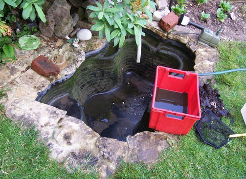 Reliable Pond Maintenance Company: Customized Services for Your Needs post thumbnail image