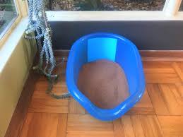 Experience the Convenience of an Automatic Litter Box with Animal Wellness Magazine post thumbnail image