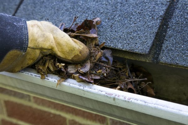 Reliable Gutter Cleaning Services in the Eastern Suburbs: Ensuring Effective Water Flow post thumbnail image