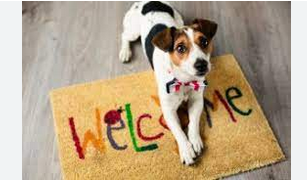 Pawsitively Welcome: Discover Dog-Friendly Fort Collins Luxury Apartments post thumbnail image