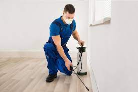 Nampa Pest Control Solutions: Your Home, Your Rules post thumbnail image