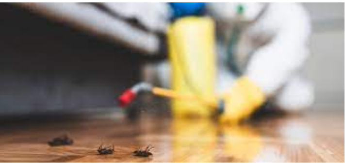 Accuracy Hits: Expert Exterminators at the job post thumbnail image