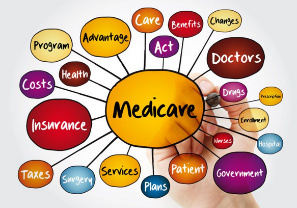 2024 Blue Cross Medicare Advantage: Your Health Guidebook post thumbnail image