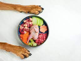 Feeding Fido Right: Unveiling the Benefits of a Raw Dog Food Diet post thumbnail image