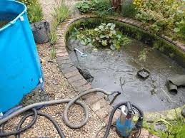 Pond Repair Excellence: Restoring Nature’s Tranquility post thumbnail image