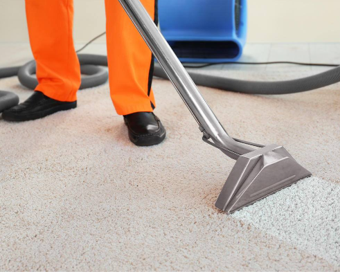 Experience Spotless Carpets: Murfreesboro’s Expert Cleaning Services post thumbnail image