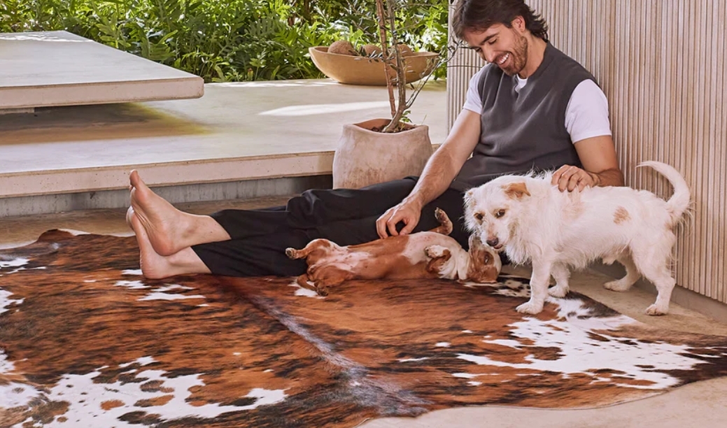 Unveiling the Timeless Elegance of Cowhide Rugs post thumbnail image